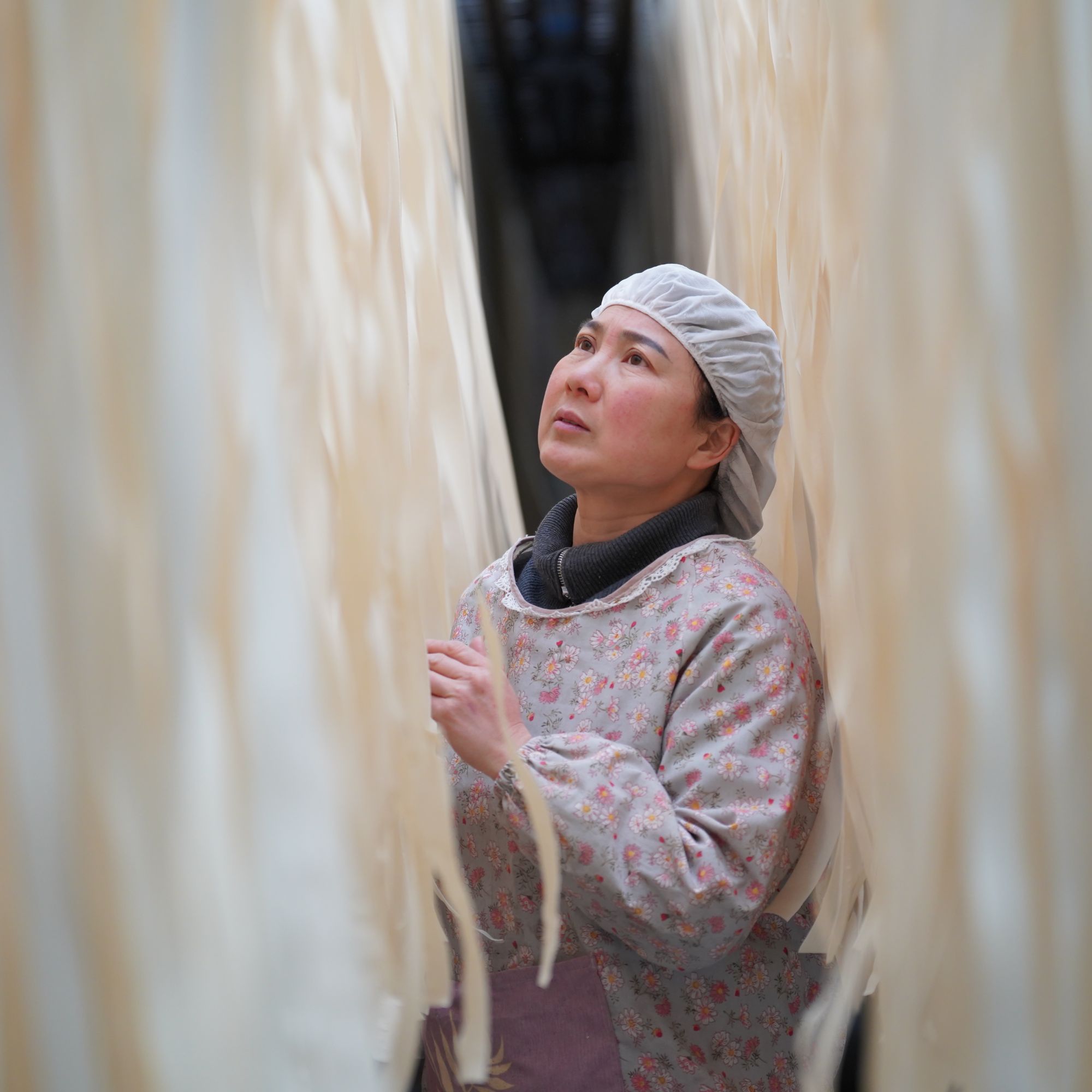 赵大姐粉丝专属)汉源五星大宽面（舌尖上的美食）快递易碎，碎了不赔