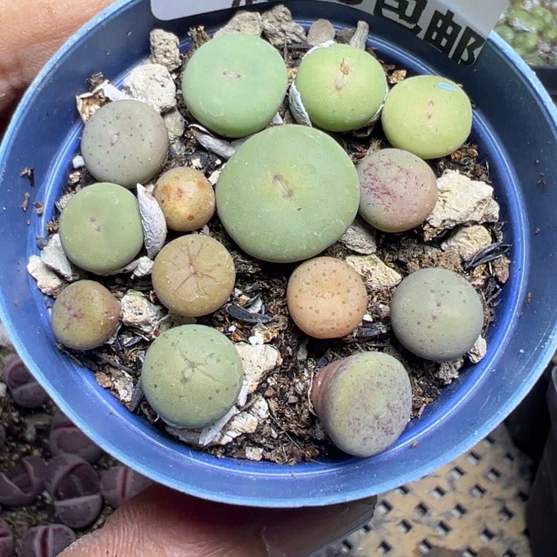 【闪购商品】 139。   