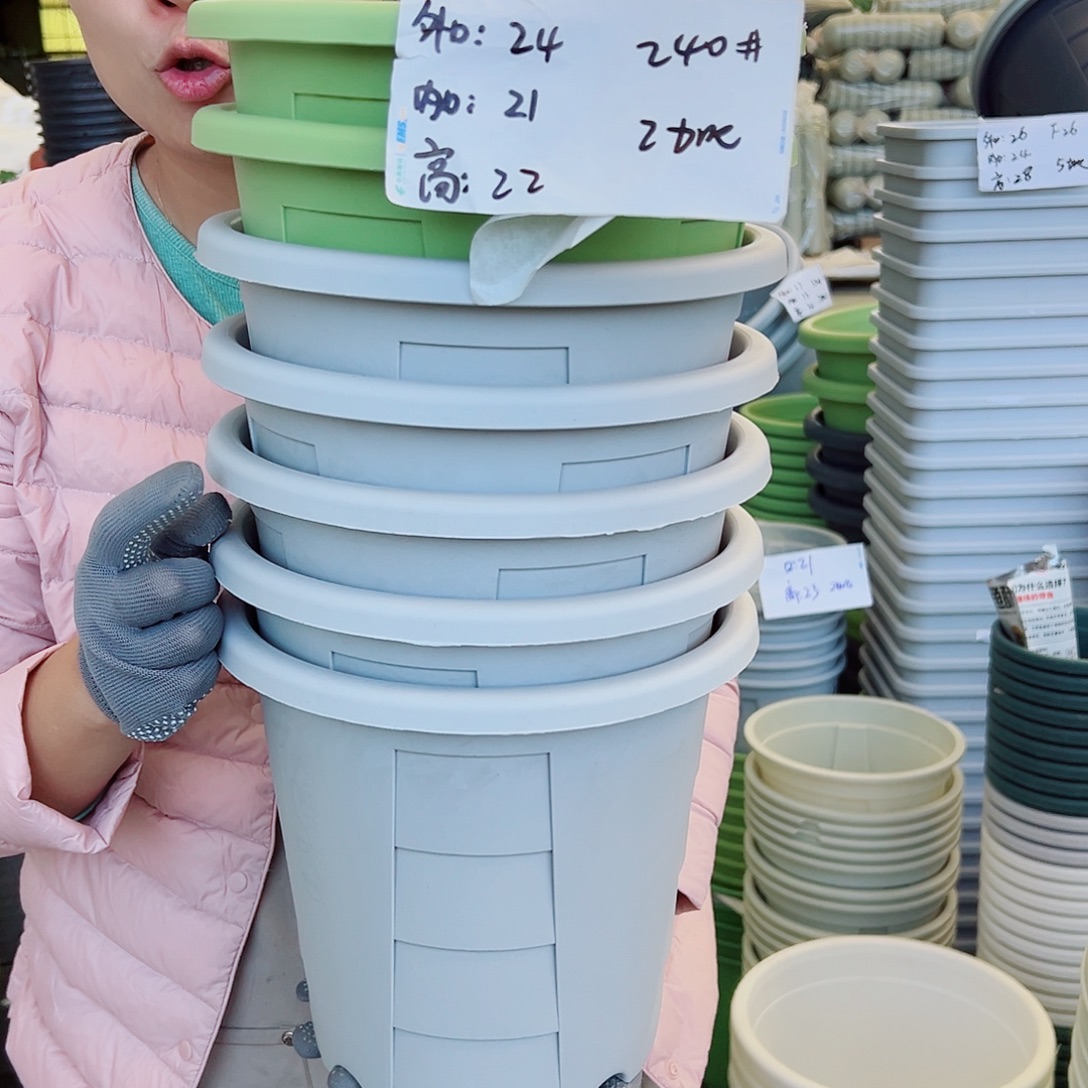 玫瑰240#灰白色5个无托