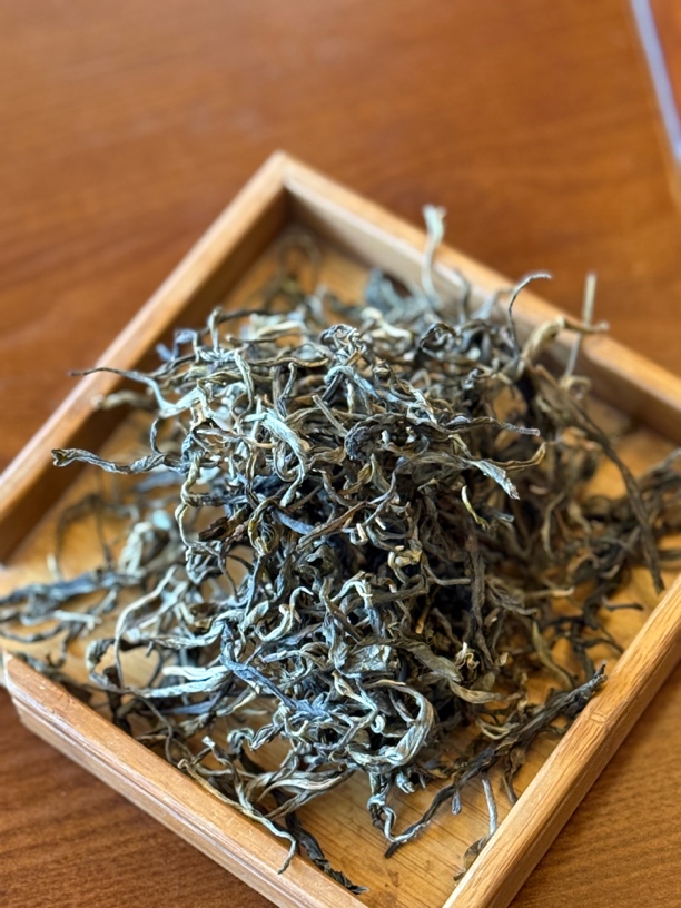 2025 年老班章古树头春