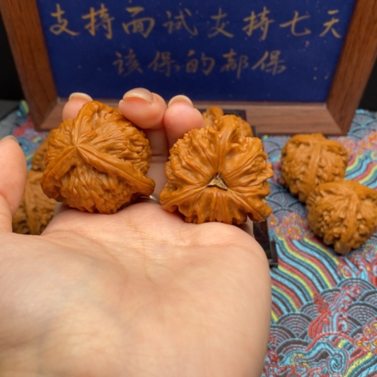 【闪购商品】奔****达白狮