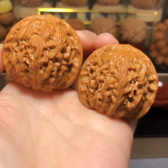 精品野生小众金麒麟