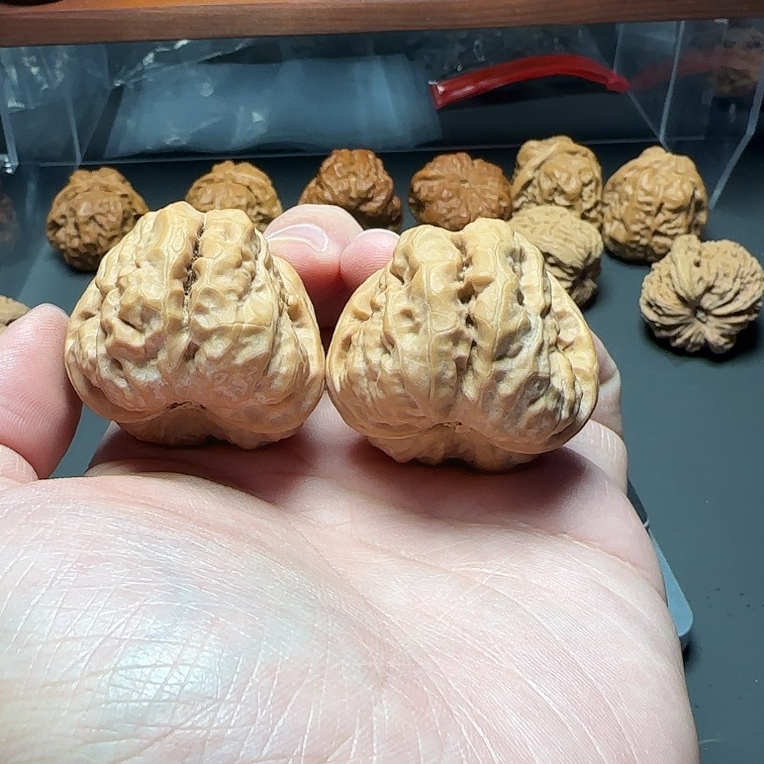 ****.文玩核桃吊坠39蛤蟆全品