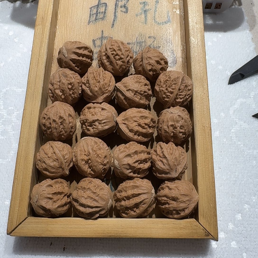 核桃手串/手链16号边22手持