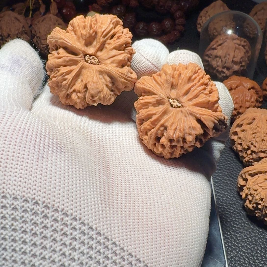 独***涧文玩核桃吊坠色差有色差