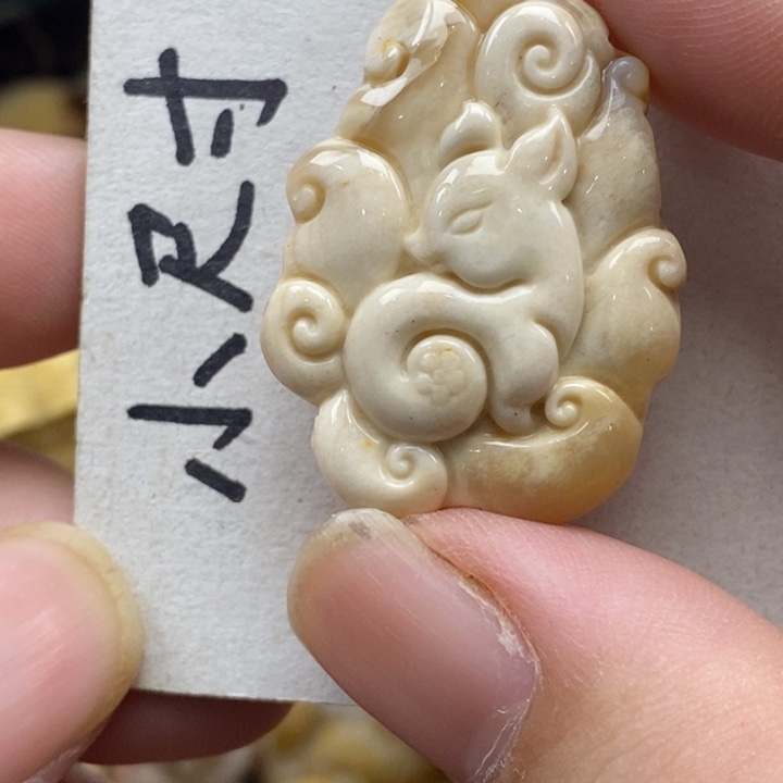 硅化珊瑚（珊瑚玉）未镶嵌颈饰