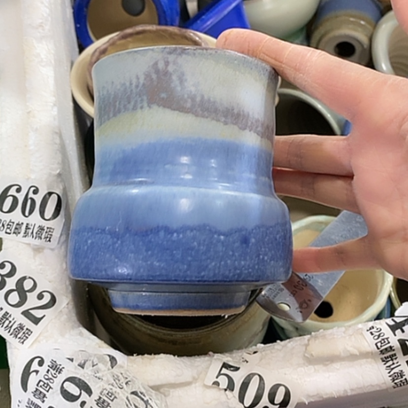 【闪购商品】红陶口7.5