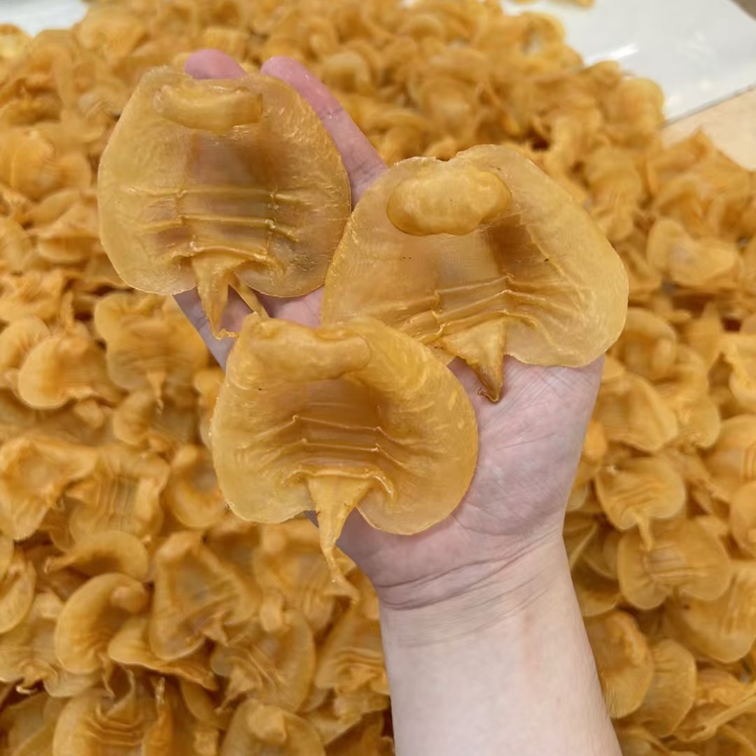 赤嘴鱼胶花胶（广鸿）  大胶野生 月子胶1-500克