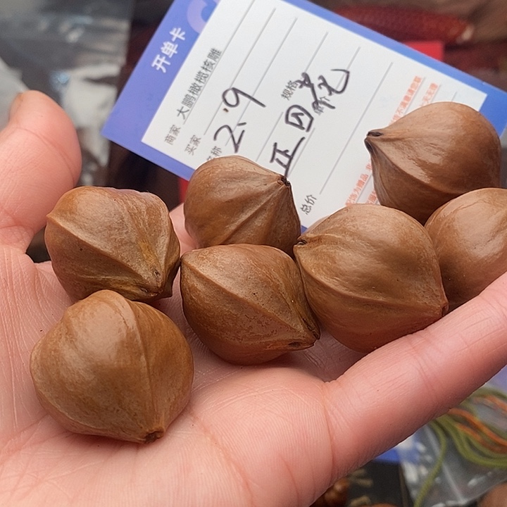 手串/手链橄榄核七