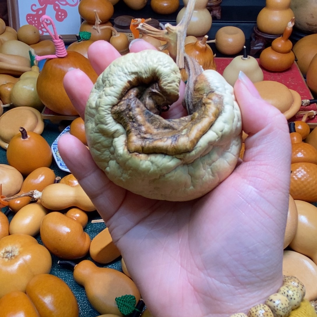 天***长葫芦链接，一物一拍