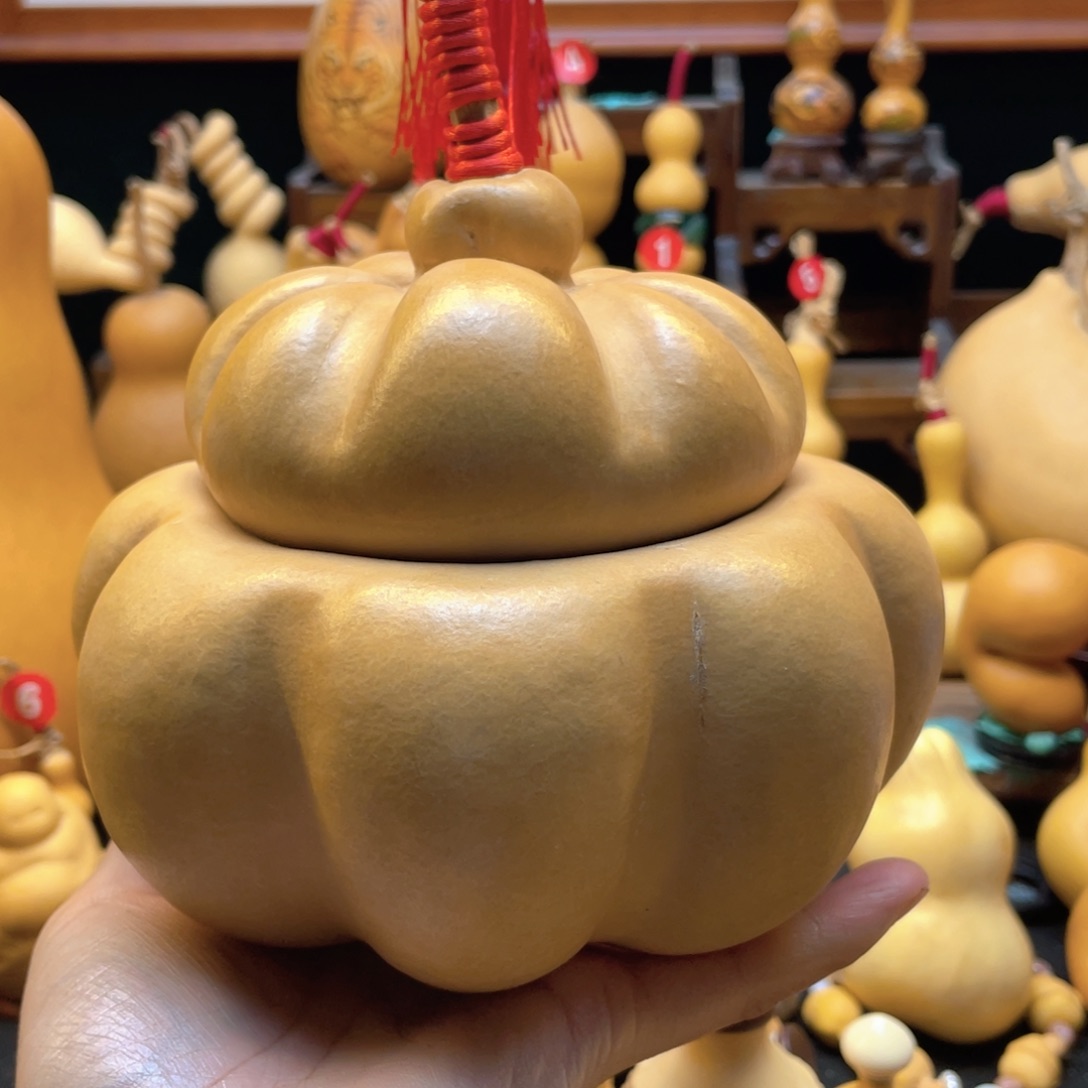 阿***飞大自然的秘密是什么啊我说