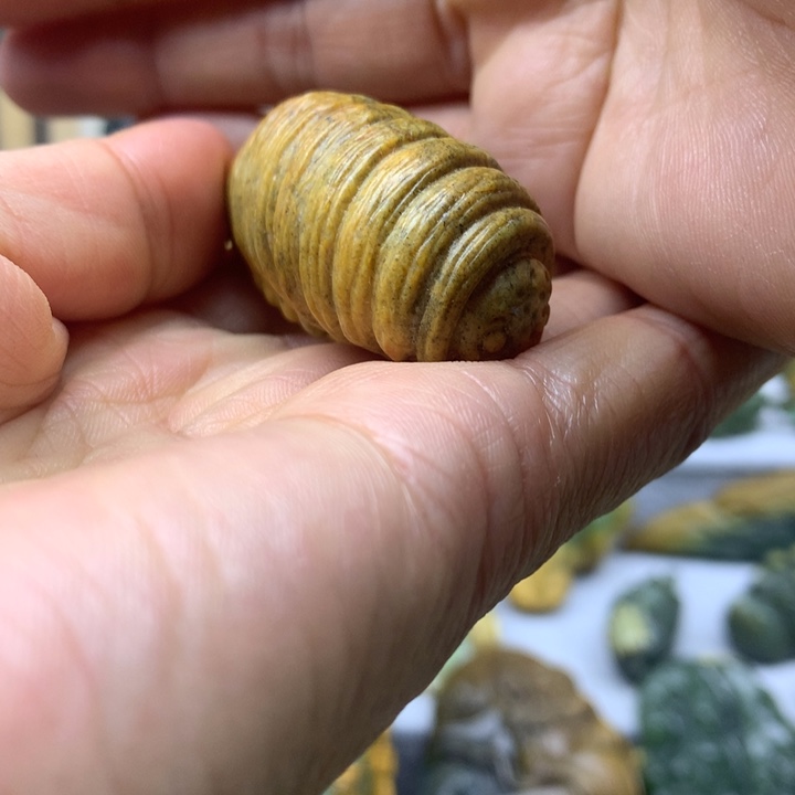 【闪购商品】岫岩河磨玉（透闪石质玉）未镶嵌吊坠