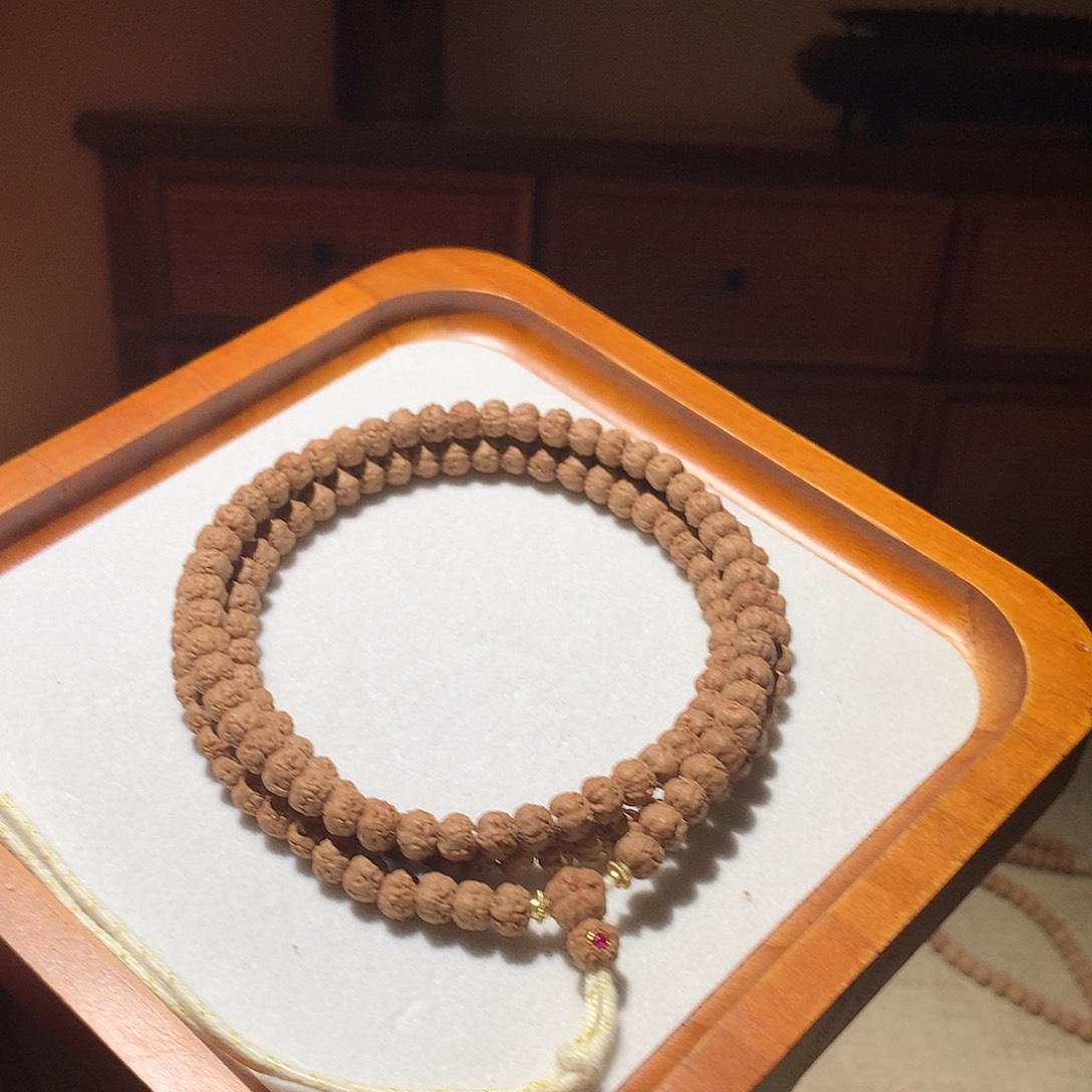 菩提SSS佛手五爪金龙小金刚