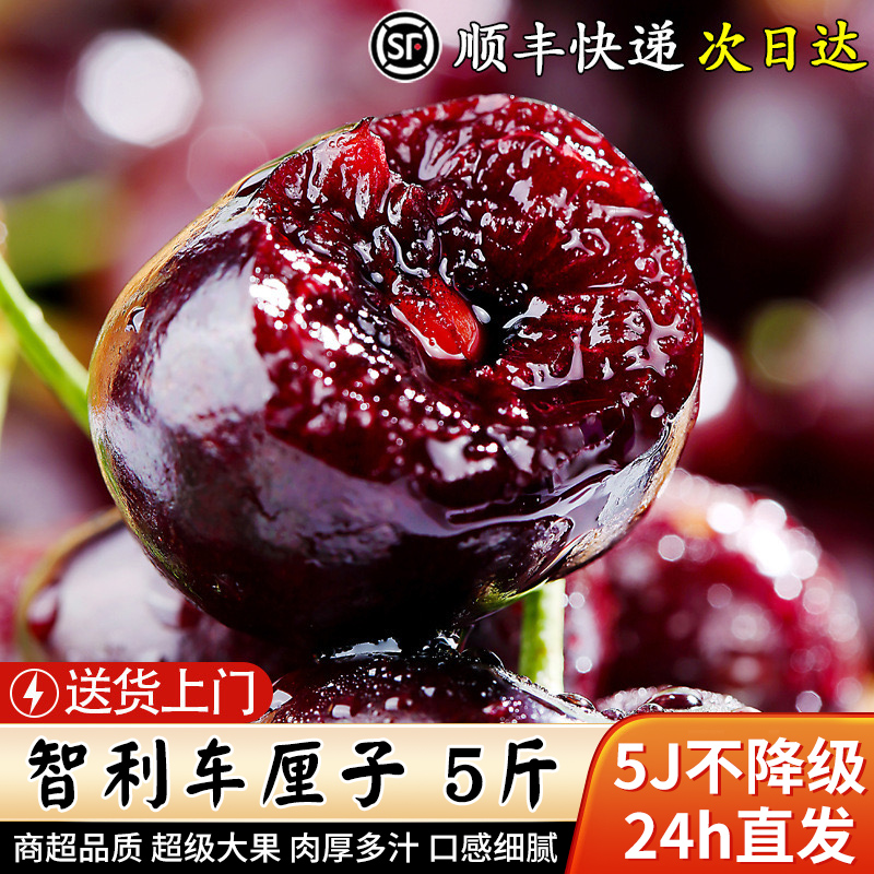 特大果王5斤J-5J桑提娜智利车厘子海运进口樱桃水果甜内附果径卡