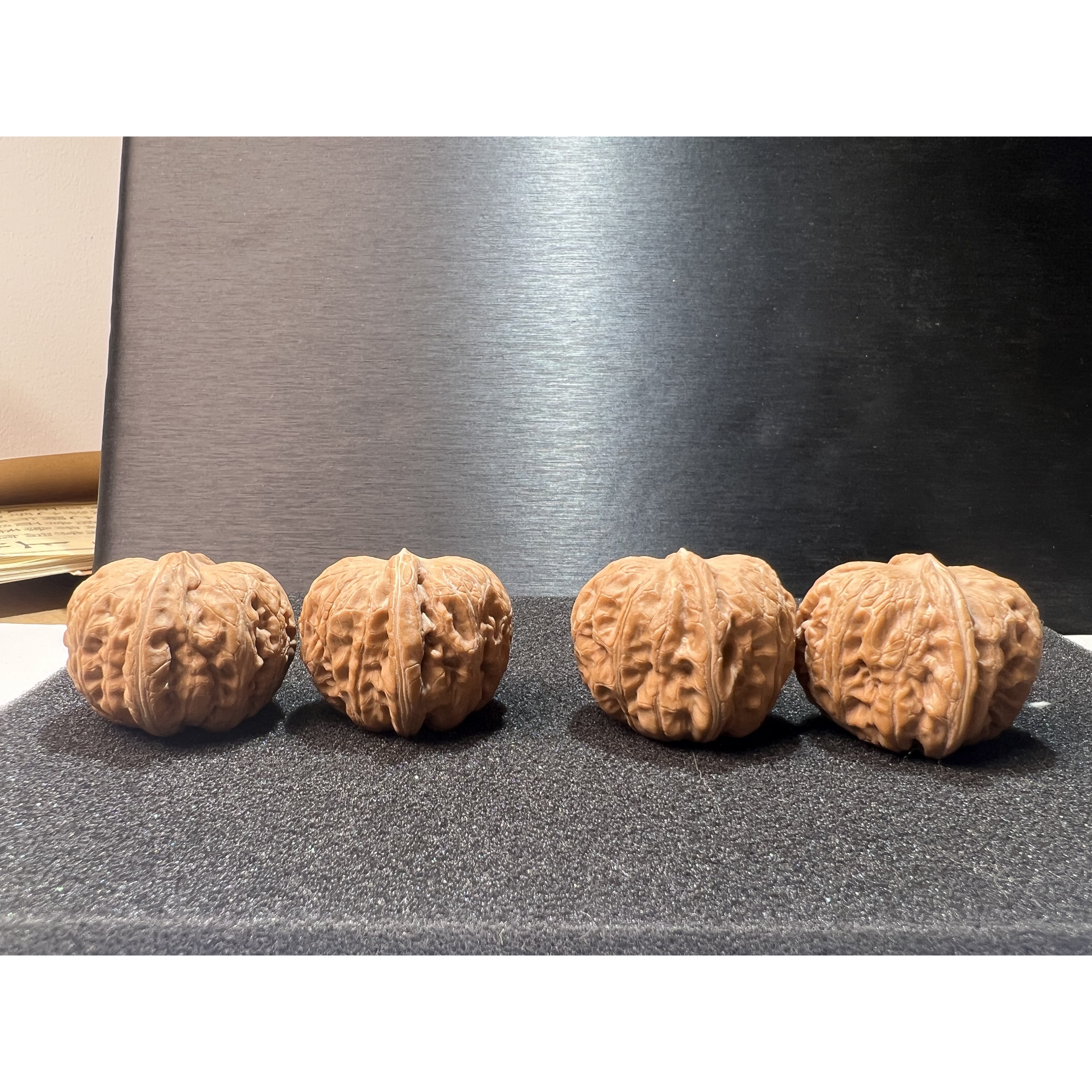 全品无修元宝核桃肚约36-39mm 多样性发货发其一 B251212-01