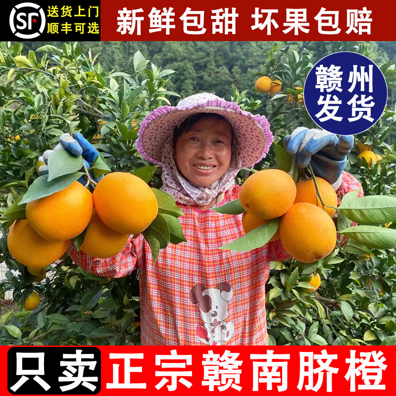 江西赣南脐橙新鲜橙子赣州产地直发纸箱10斤装当季水果甜橙果冻橙