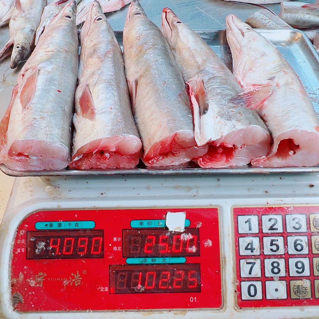 中国大陆五个鳗鱼头