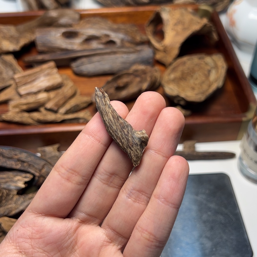 木：老加里曼丹瓜子0.95克