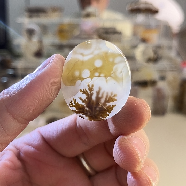 玛瑙/玉髓吊坠(不含链)未镶嵌