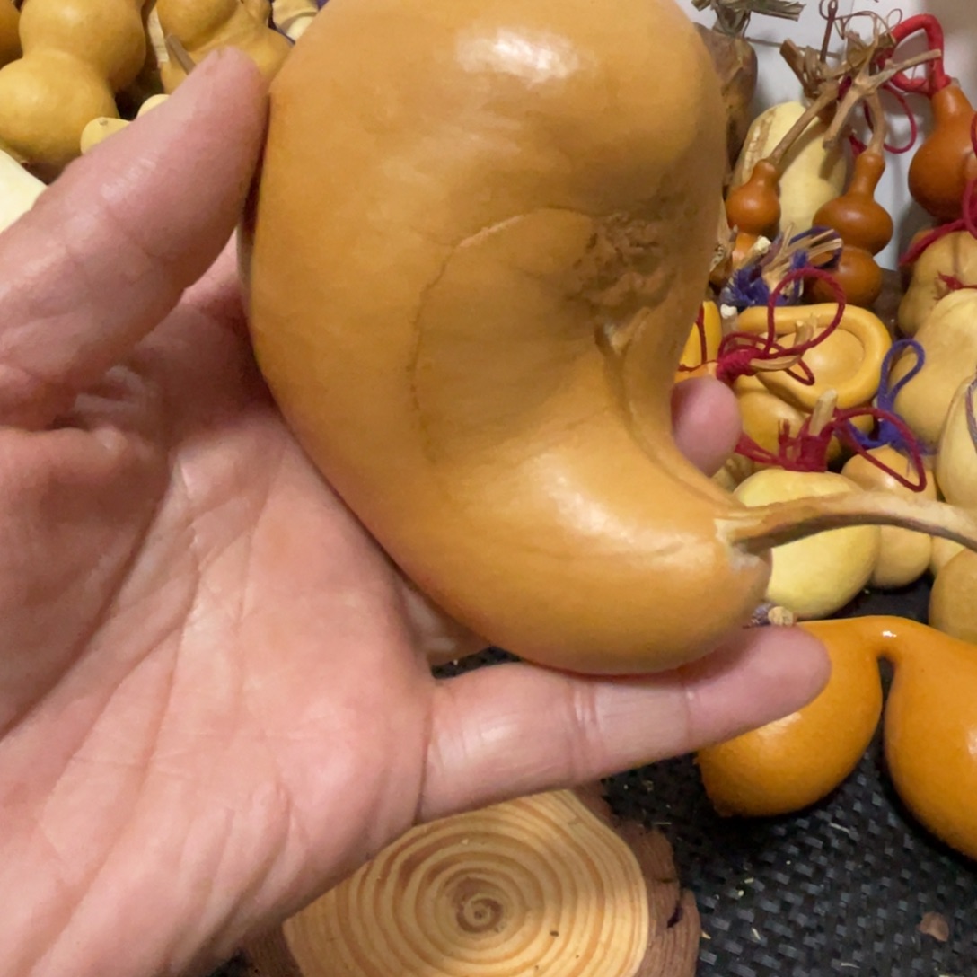 珠***葫芦哈哈哈哈哈哈哈哈哈哈