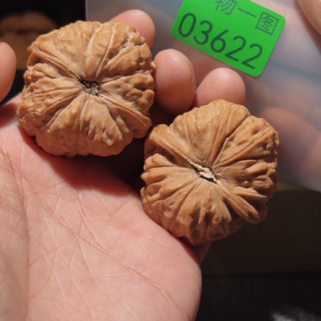 文玩核桃把件南瓜