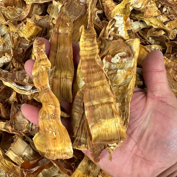 【云货心选】野生凤尾竹笋干