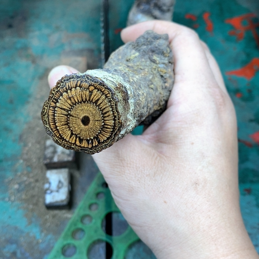 必***0木01定制款精品款