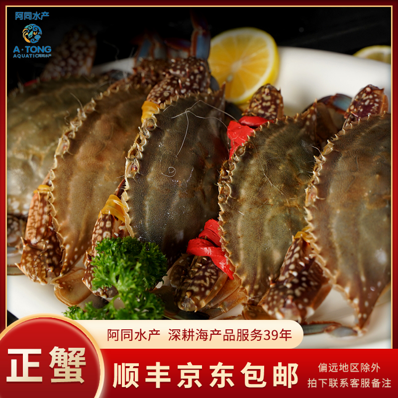 【阿同水产】新鲜连江本港大母蟹