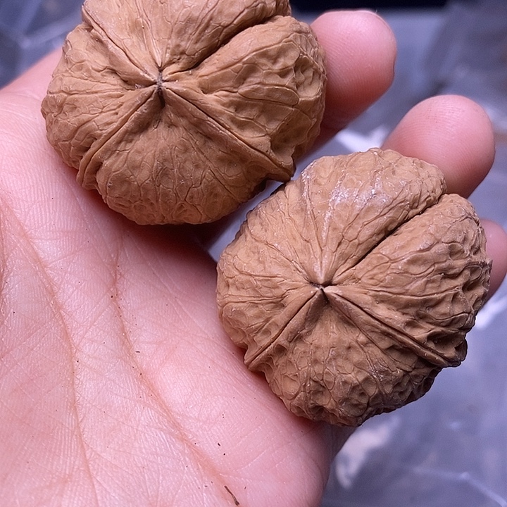 文玩核桃吊坠  138