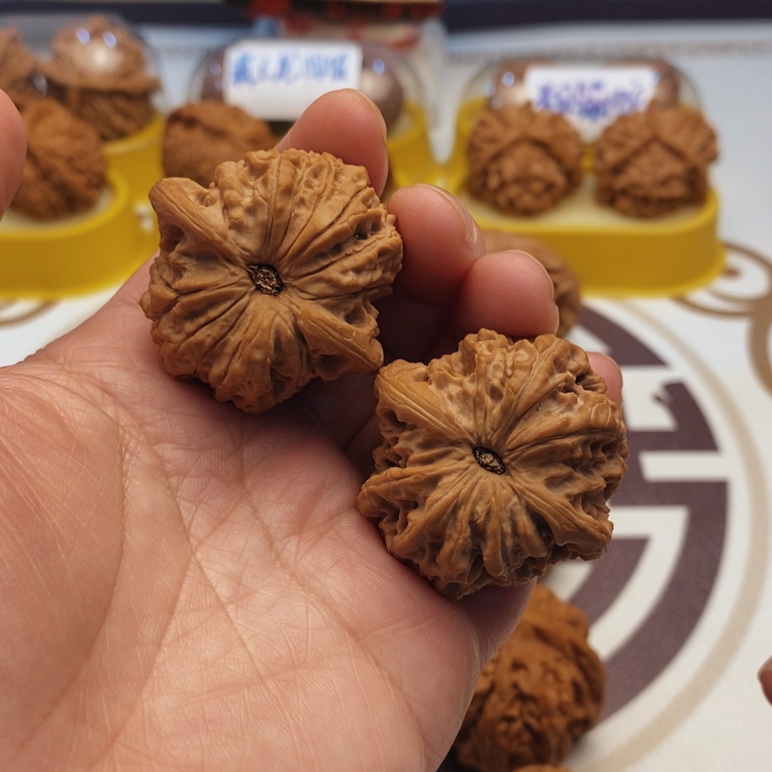 文玩核桃吊坠血麒麟40尺