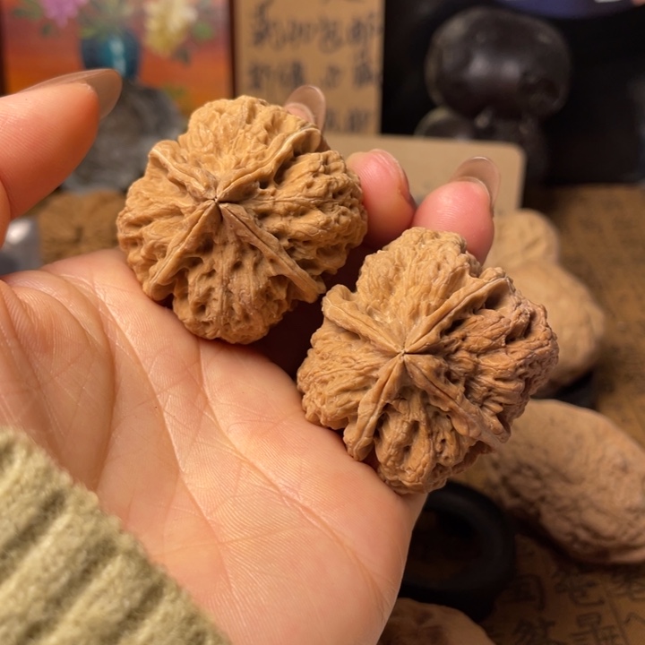 Y*云南铁核桃默认微瑕56
