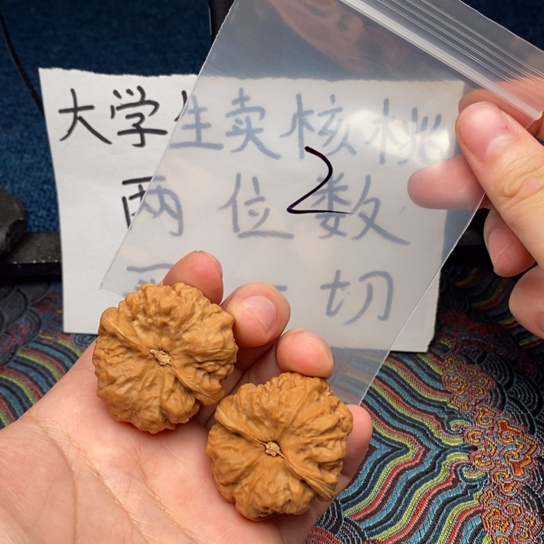 核桃哈哈哈哈哈哈哈哈哈哈哈哈