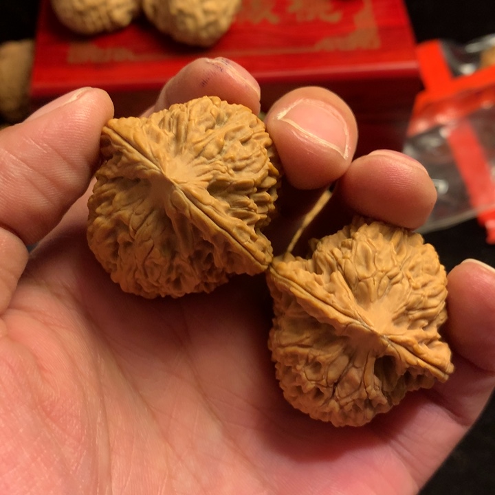 拼***搏吊坠龙脊菩提11111