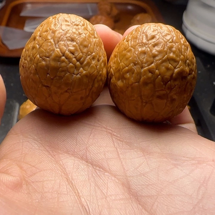 文玩核桃把件长*金莽龙珠37