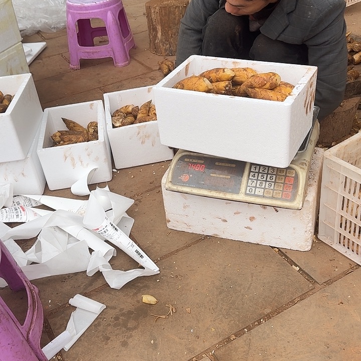 笑***笑中国大陆四川黄泥冬笋一至二两