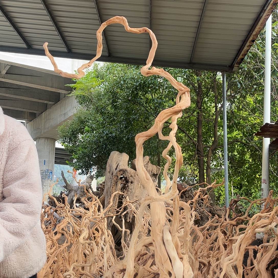 沈***厂木我也不想去看了一下我喜欢