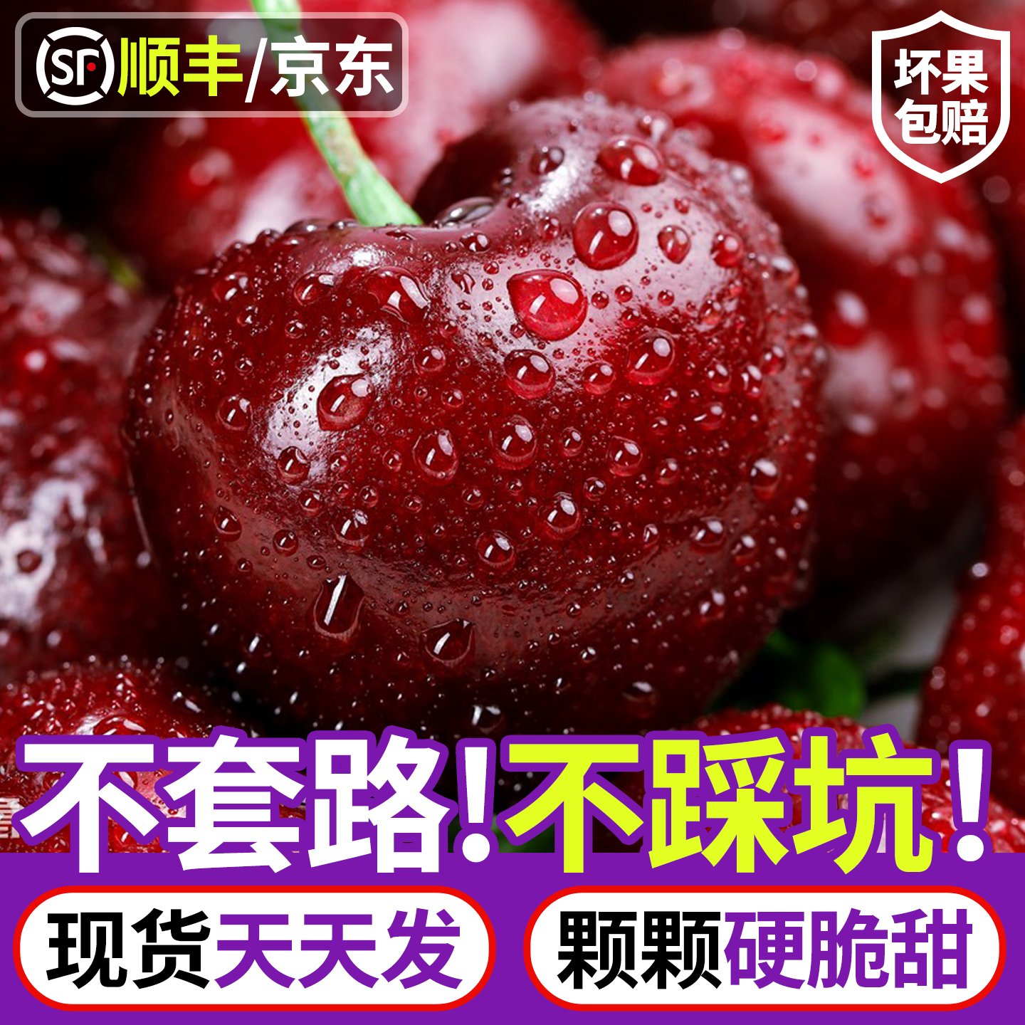 【京东顺丰空运坏果包赔】智利桑提娜车厘子水果J-JJJJ内附果径卡鲜