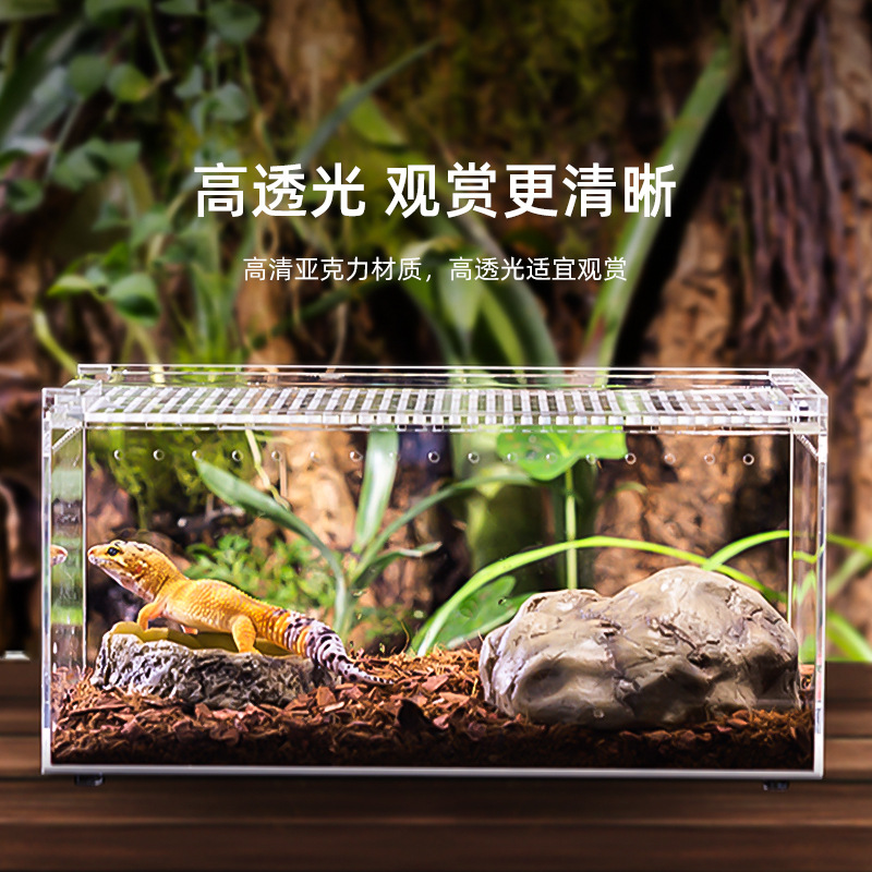 瑞皮Reptizoo亚克力饲养盒 独角仙爬宠箱螳螂角蛙守宫蚕宝透明箱