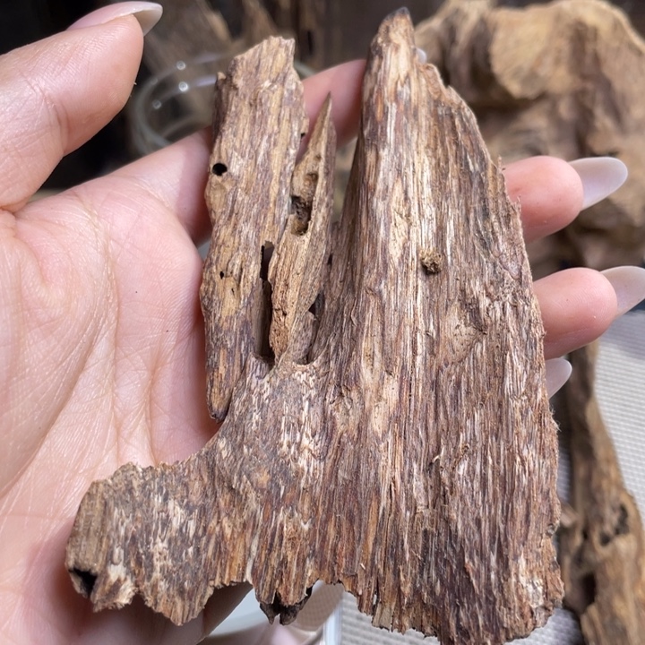 沉香海南虫漏香12克