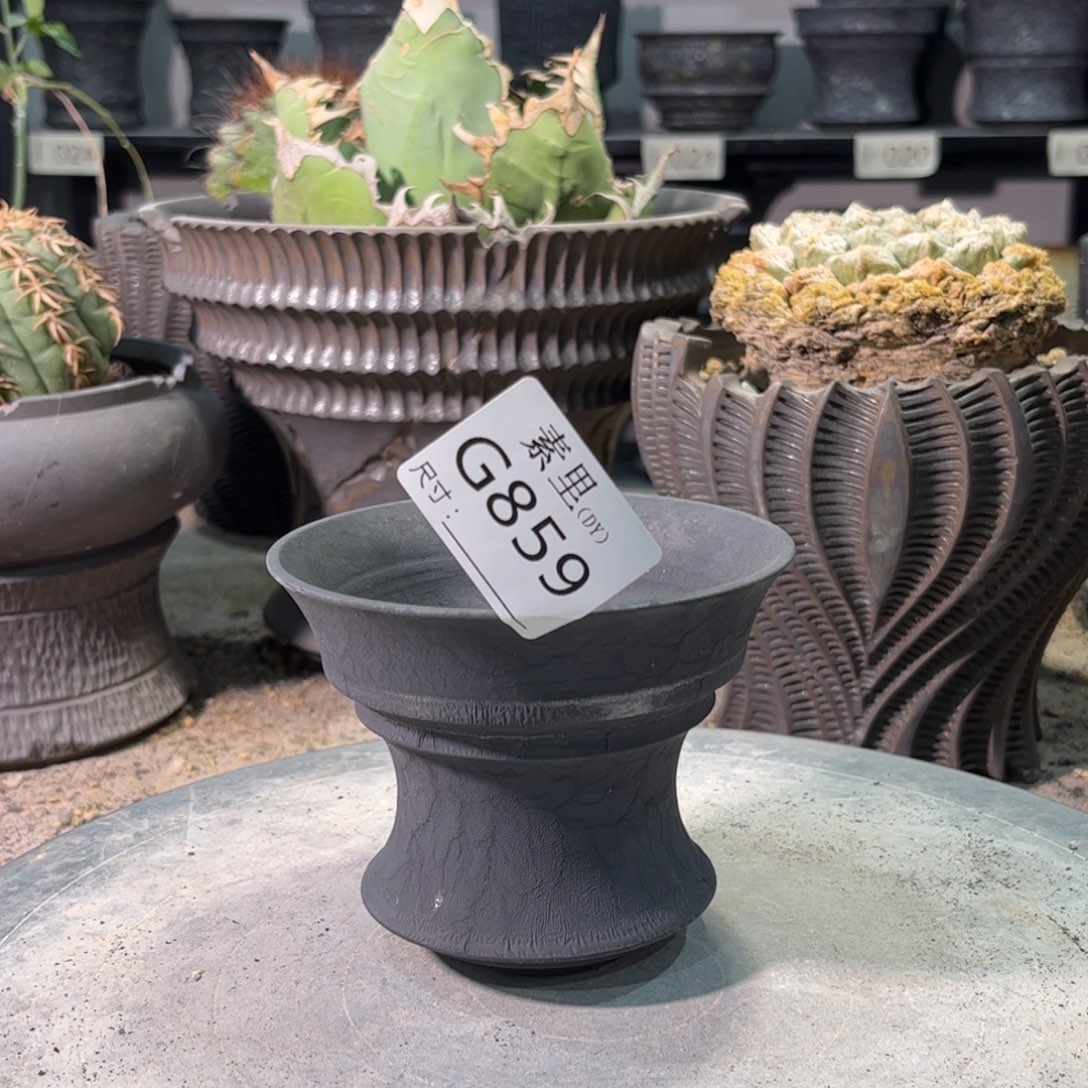 景德镇手工素里内口10高8.5