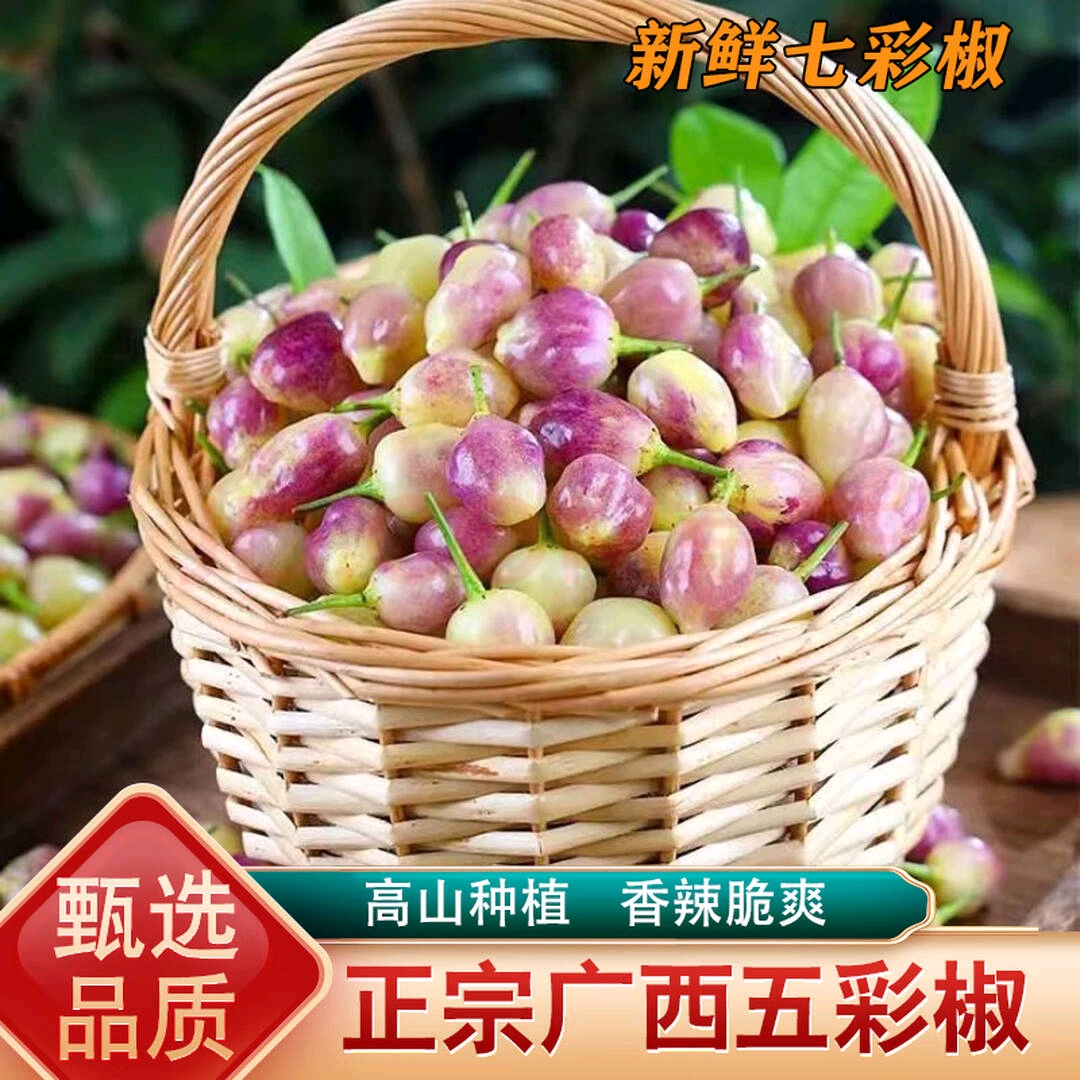 现摘现发五彩椒 广西特产七彩辣椒腌制专用泡椒整箱产地批发包邮