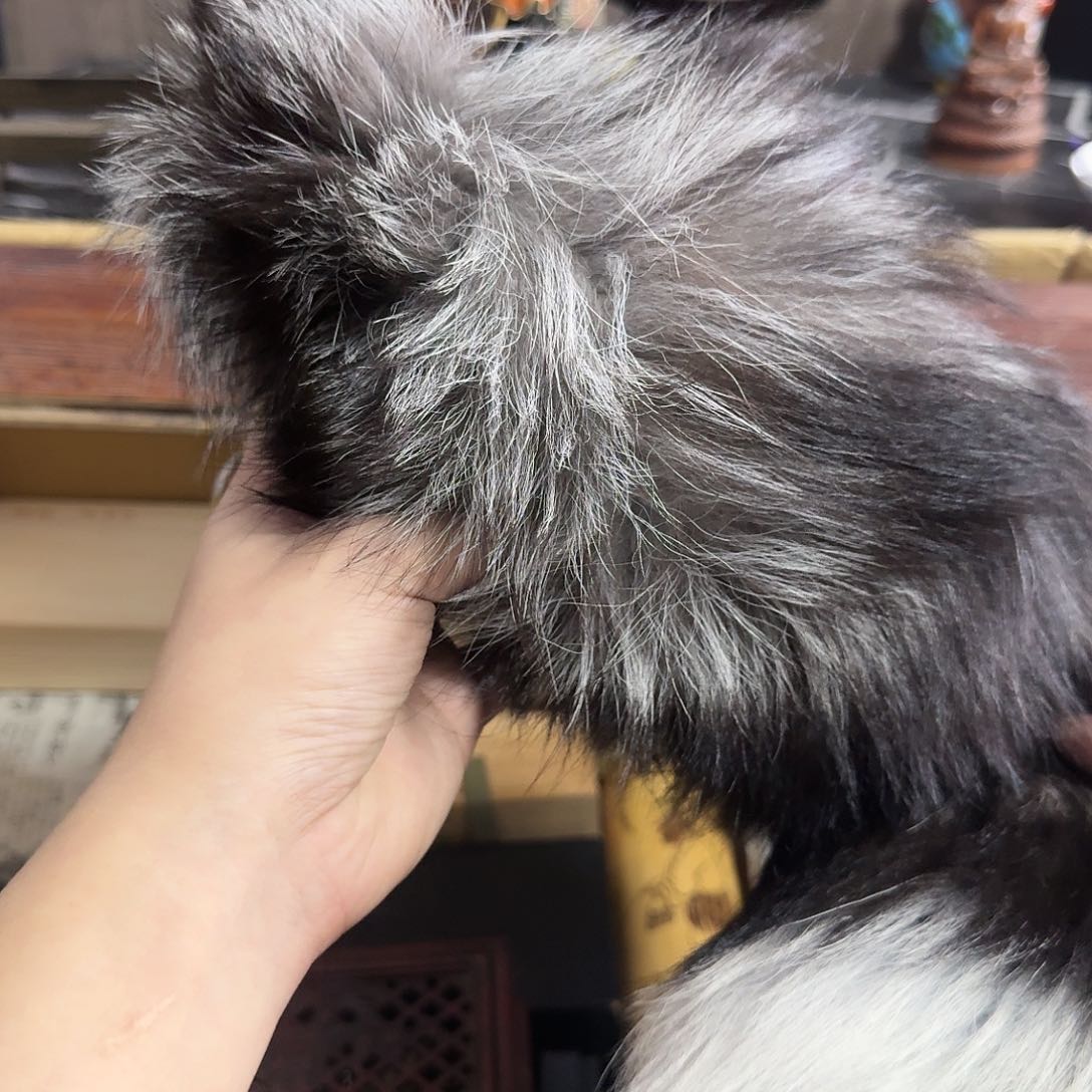 砖雕哈哈哈哈哈哈哈哈哈哈哈哈哈