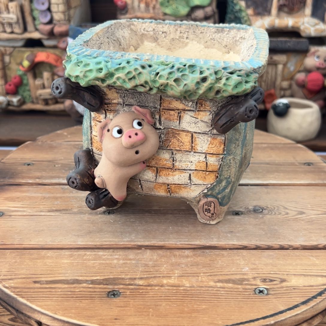 嘻哈多肉花盆百搭