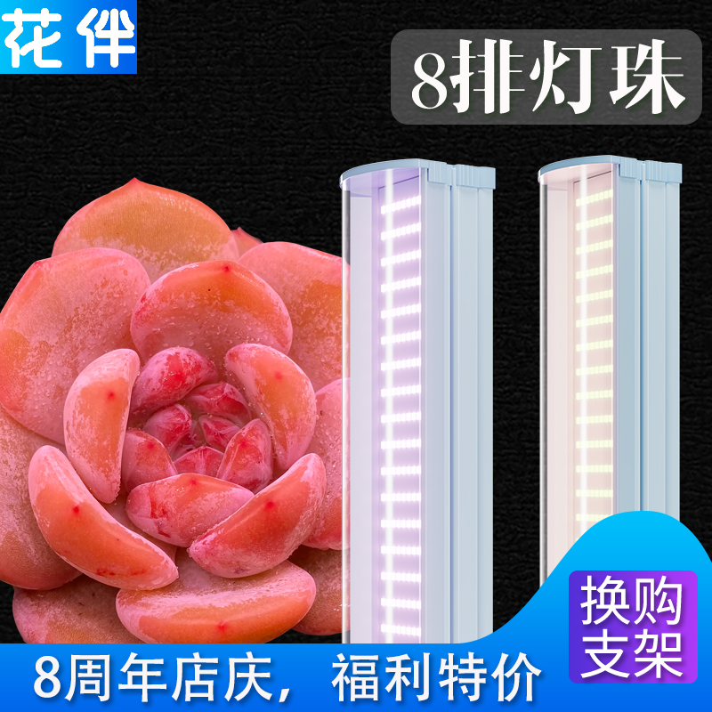 8周年特惠福利 8排T20多肉补光灯植物补光灯防徒上色多肉生长灯排