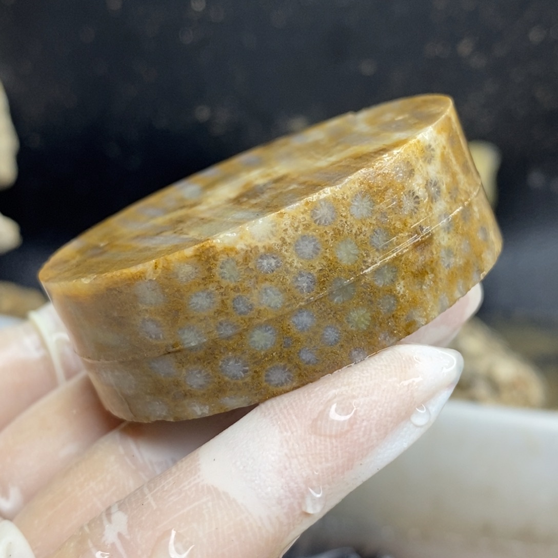 【闪购商品】硅化玉颈饰未镶嵌