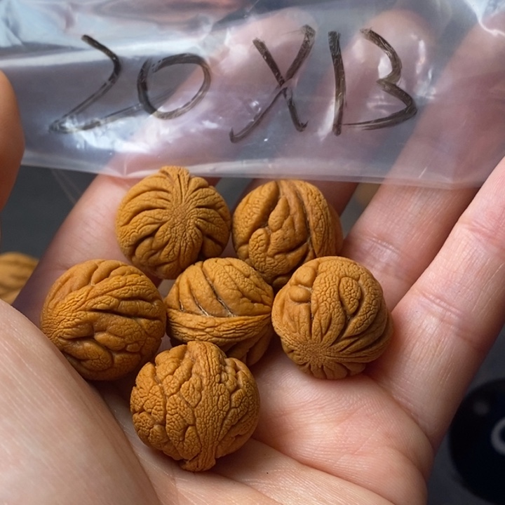 文玩核桃手串秦岭野生龙纹桃核20