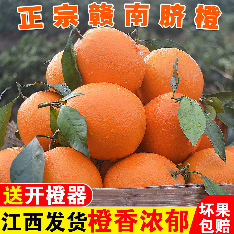 XP【赣州直发】正宗江西赣南脐橙新鲜现摘应季水果产地直发多汁香甜