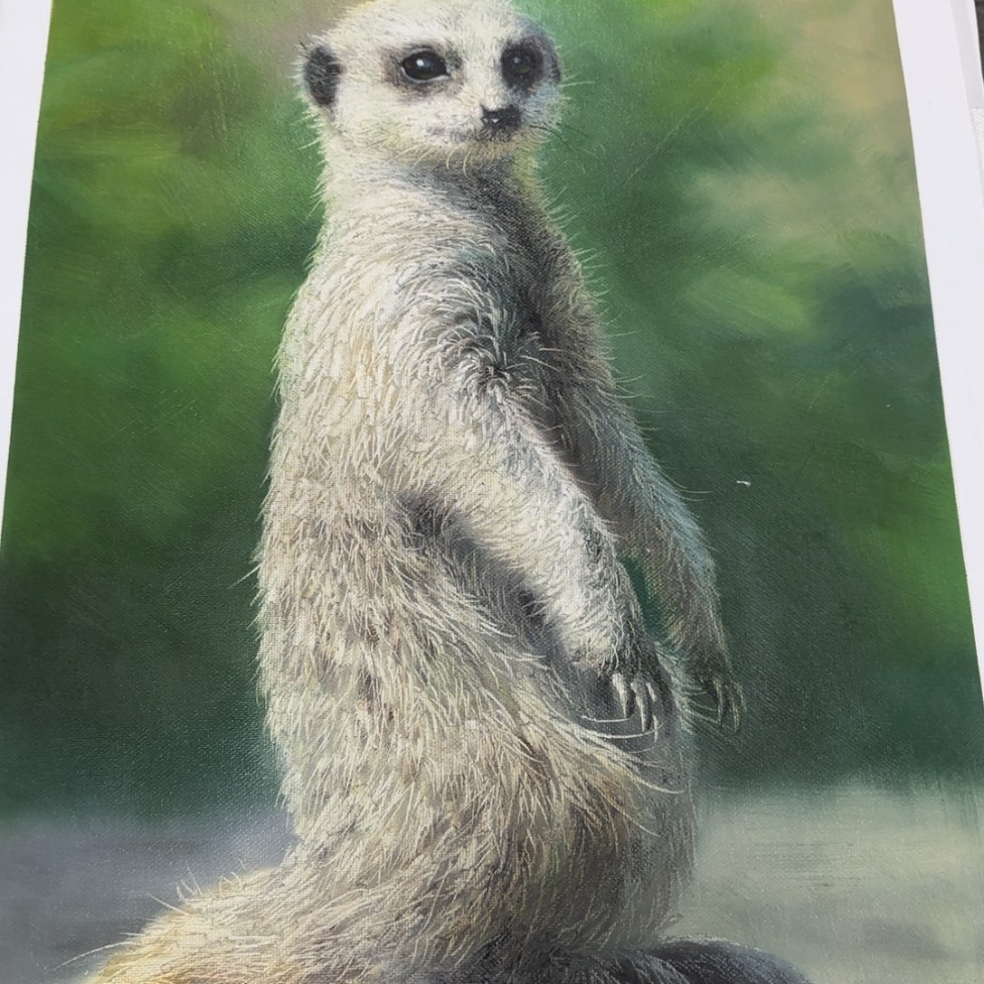 油画我是一只小小鸟地域文化