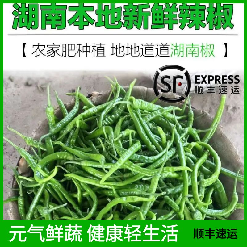 【顺丰包邮】湖南辣椒新鲜特辣青椒薄皮青椒青椒正宗现摘软皮香辣