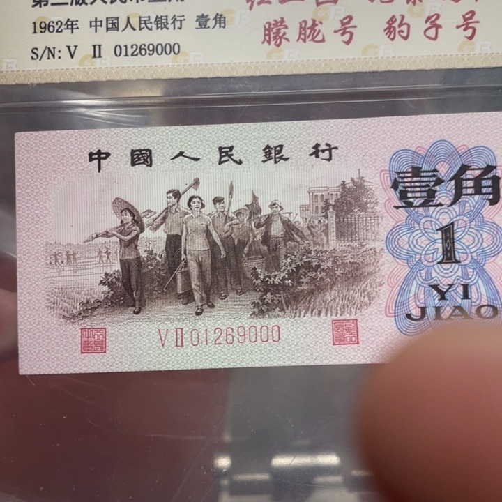 红二凸姹紫嫣红朦胧豹子号一张一张一张一张